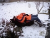 img-529
